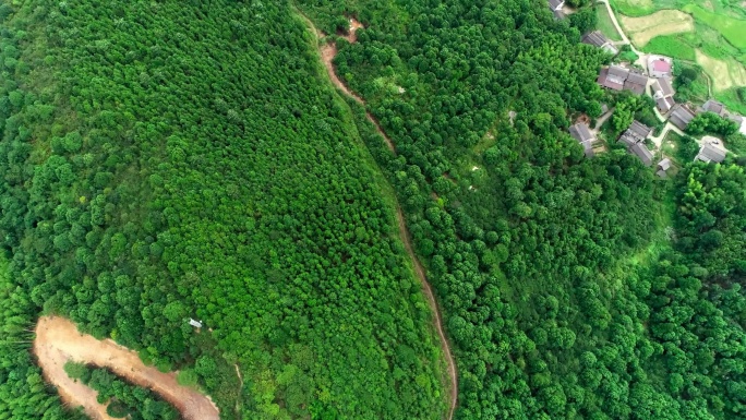 4K航拍山体绿化山路农家