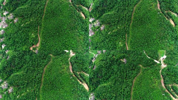 航拍山路农家山体绿化