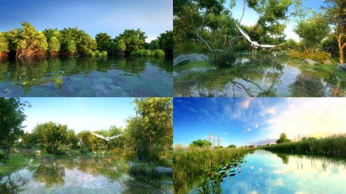 湿地公园动画镜头