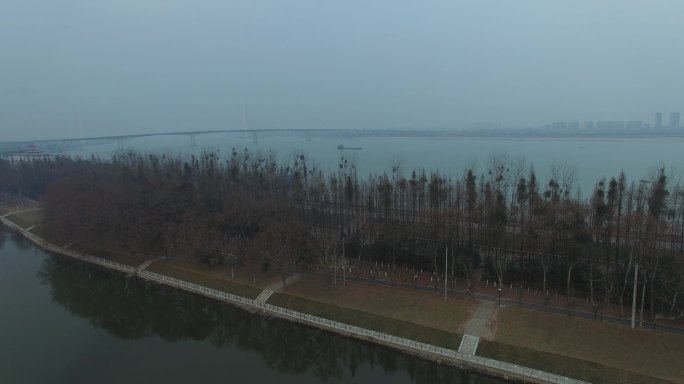 深圳秋天的海边公园小树林
