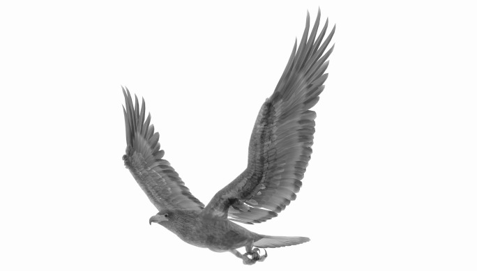 水墨老鹰（05）-alpha循环