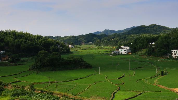 4K南方山村的稻田（4倍速）