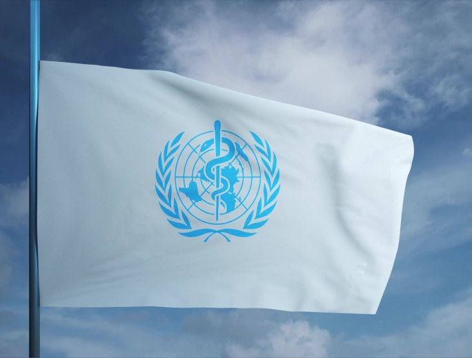 世界卫生组织旗帜2K分辨率