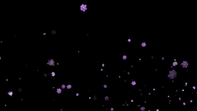 花瓣飘散元素-带透明通道