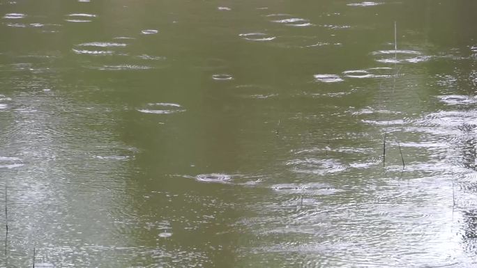下雨天河面上的涟漪、水波纹