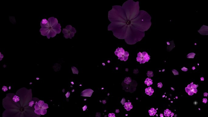 花瓣飘散元素-带透明通道