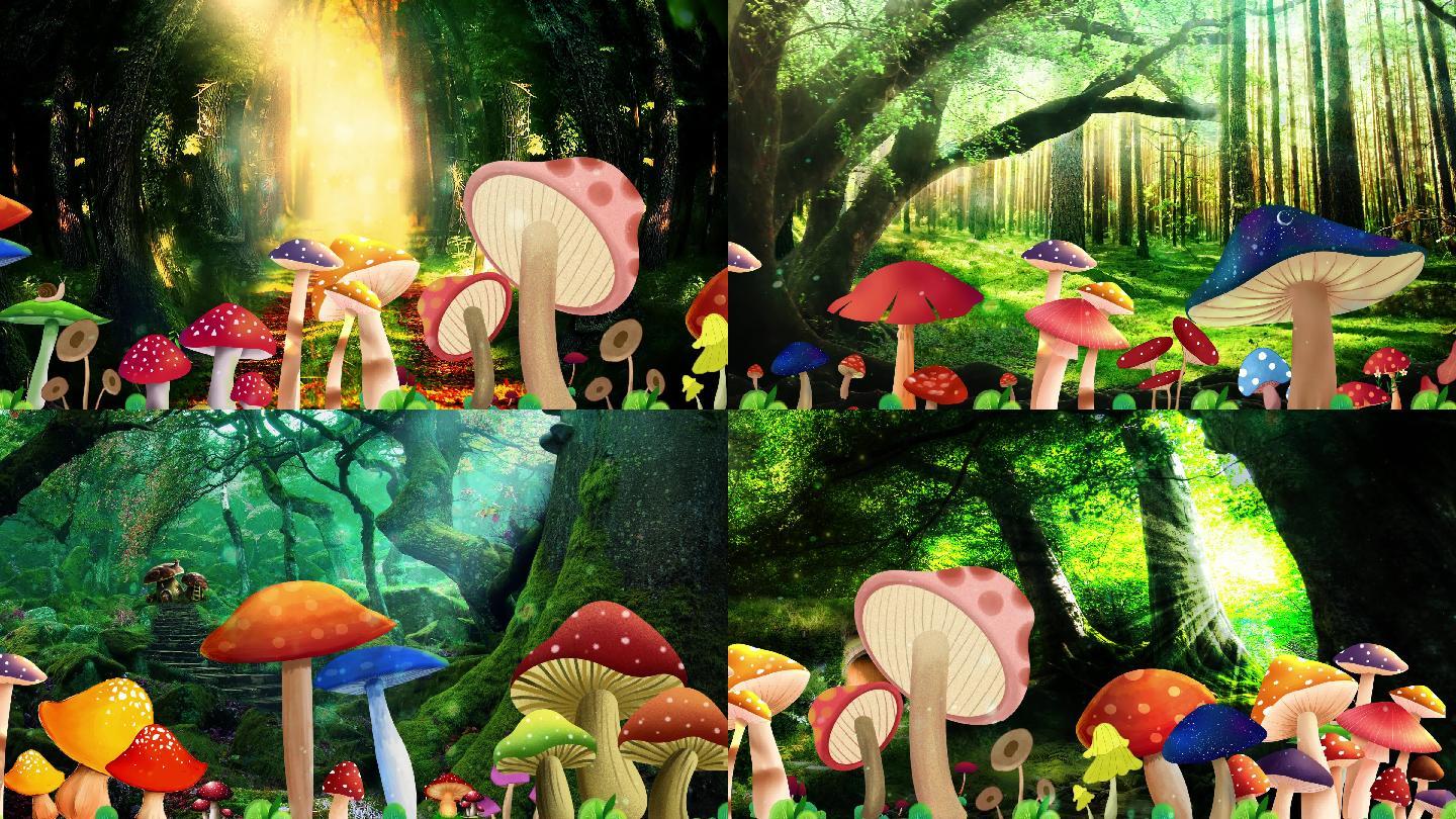 蘑菇梦幻森林