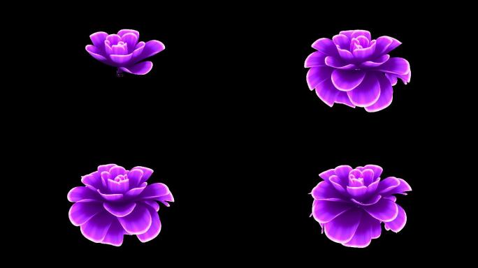 透明通道紫花盛开