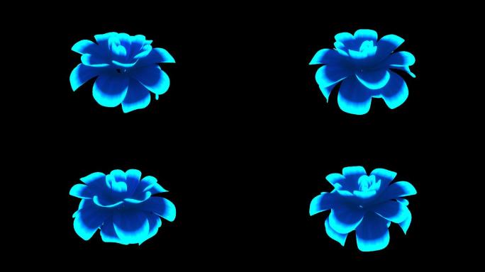 透明通道蓝色花朵盛开