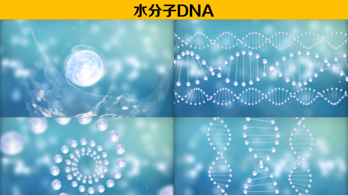 水分子DNA