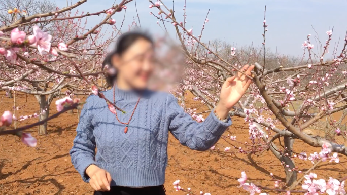 初春花开春风桃花郊游踏青赏花