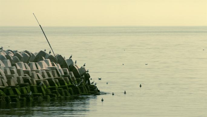 海岸堤坝海堤帆船