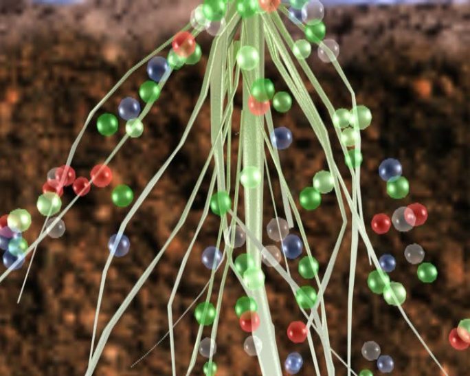 植物需要多少送多少