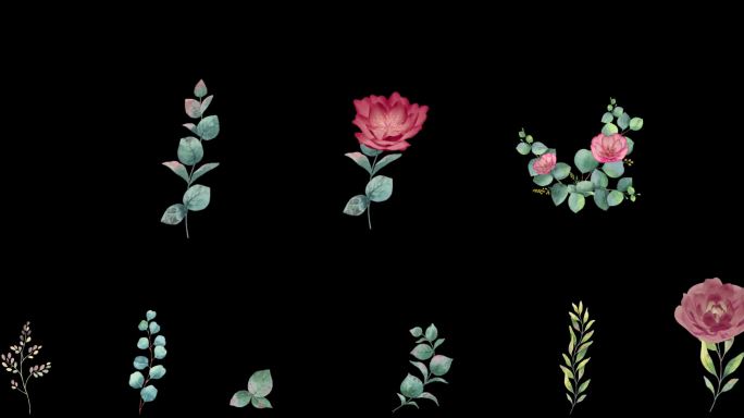 手绘风格花朵素材生长消散循环序列