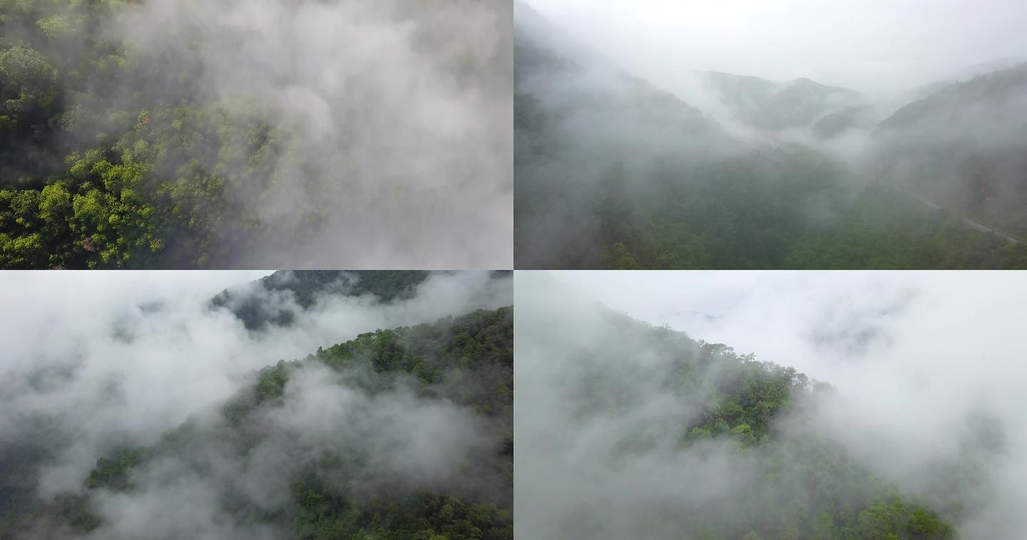 绿水青山金山银山