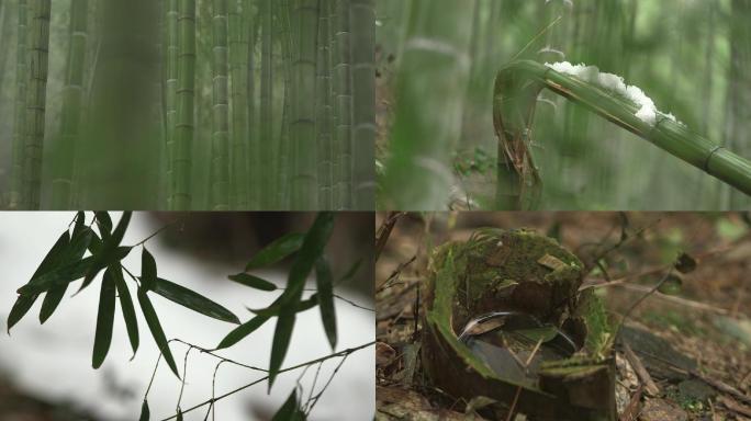 竹林竹子带雪的竹子草帽竹桩