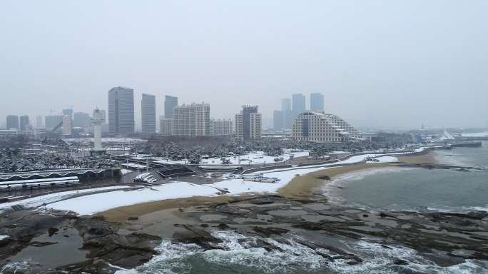 2019年初日照雪景风景4K