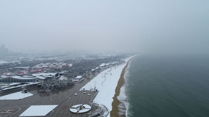 2019年初日照雪景风景4K