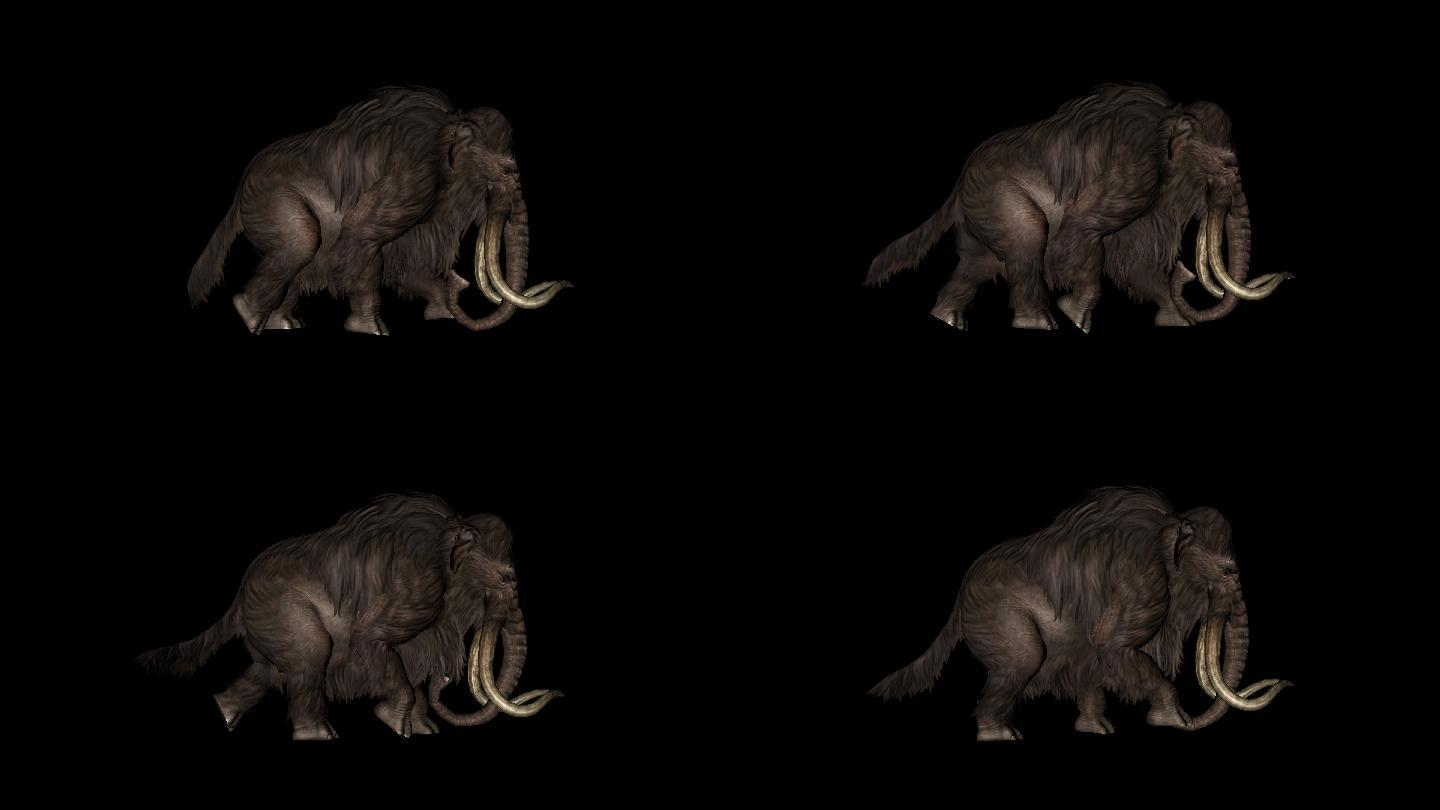 猛犸象奔跑走路动画(6)