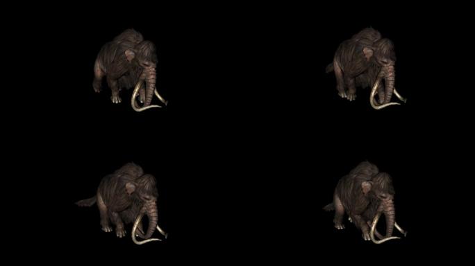 猛犸象奔跑走路动画(7)