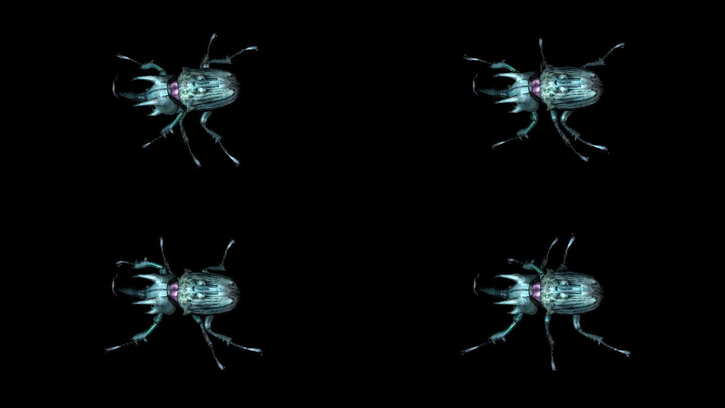 甲虫奔跑走路动画(4)