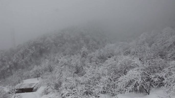 深山雪景图