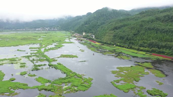 4K-原素材-田园风光池塘