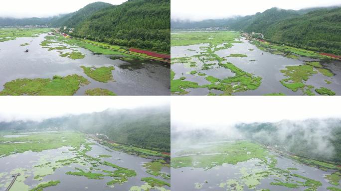 4K-原素材-田园风光池塘