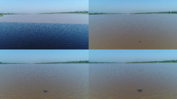 渭河河水4K航拍