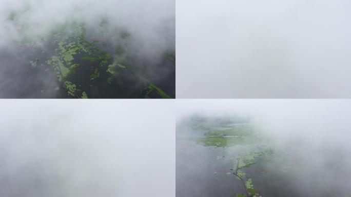 4K-原素材-雨雾中湿地航拍