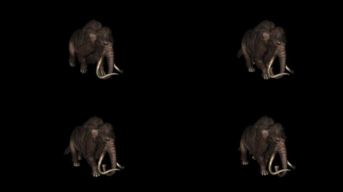 猛犸象奔跑走路动画(3)