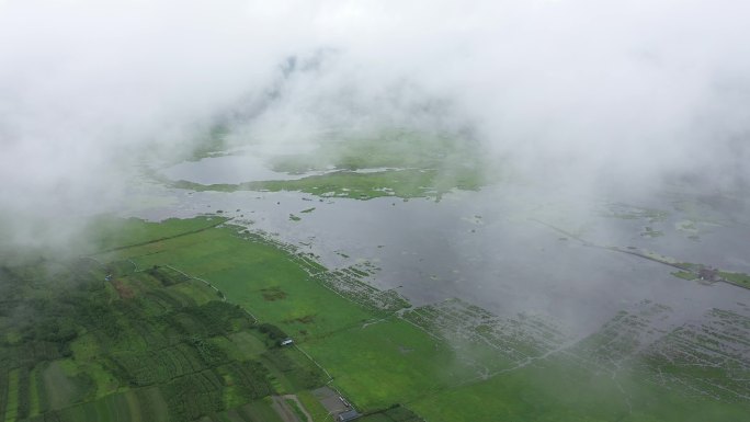 4K-原素材-湿地公园航拍