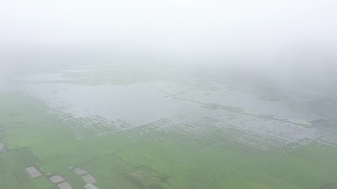 4K-原素材-雨雾中荷塘腾冲