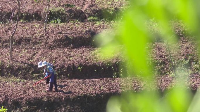 农村山里人家农民干活刨地梯田