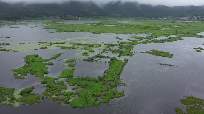 4K-原素材-湿地公园航拍