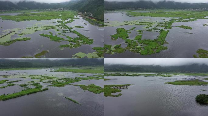 4K-原素材-湿地公园航拍