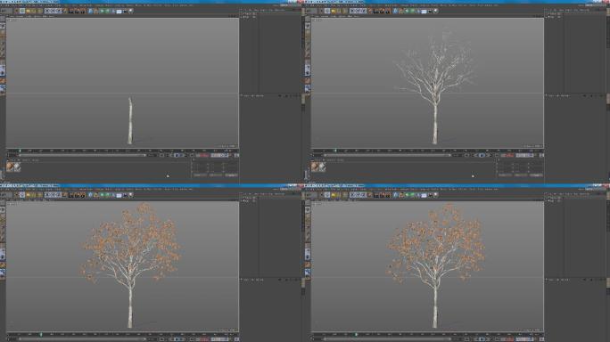 大树生长c4d店内有渲染好的