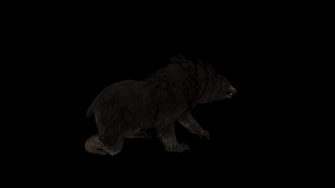 黑熊攻击动画(2)