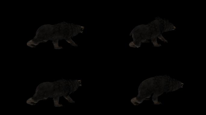 黑熊攻击动画(2)