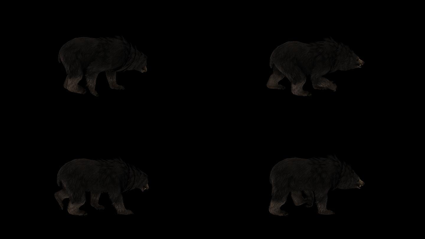 黑熊奔跑走路动画(5)