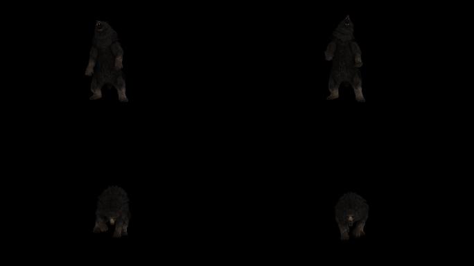 黑熊嚎叫动画(4)