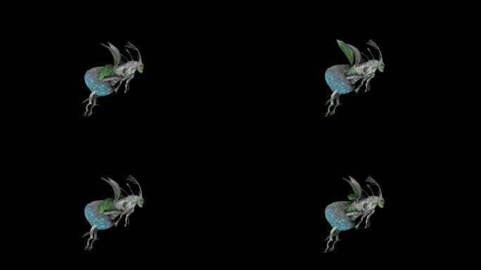 虫子飞行动画(4)