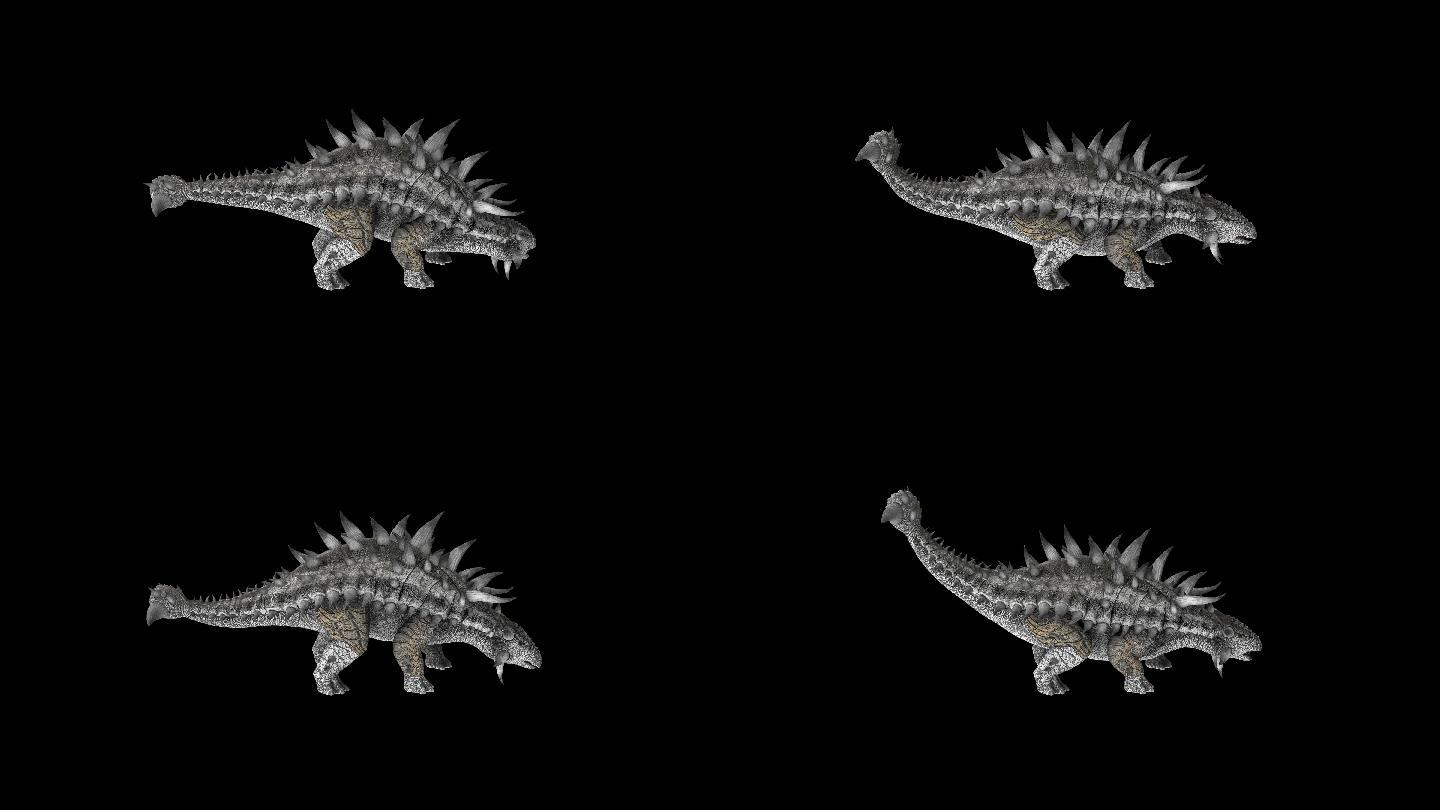 甲骨恐龙生蛋的动画(3)