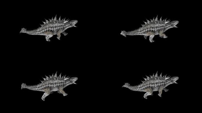 甲骨恐龙浮水游泳动画(2)
