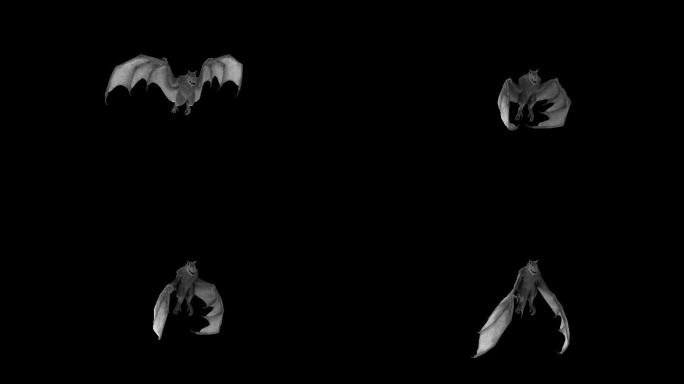 蝙蝠飞行动画(7)