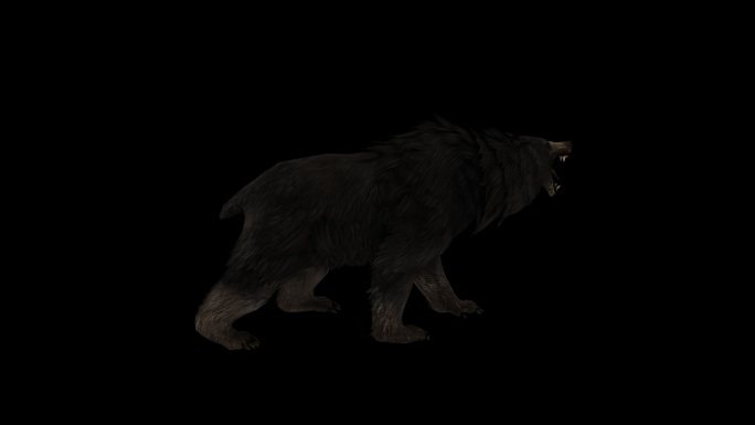 黑熊嚎叫动画(5)