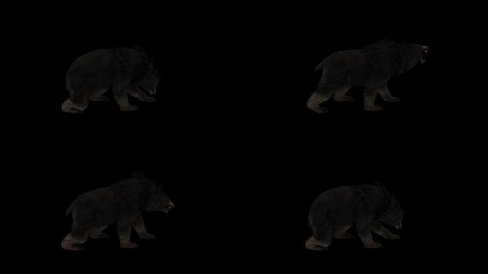 黑熊嚎叫动画(5)