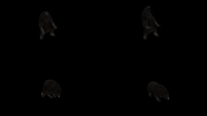黑熊嚎叫动画(3)
