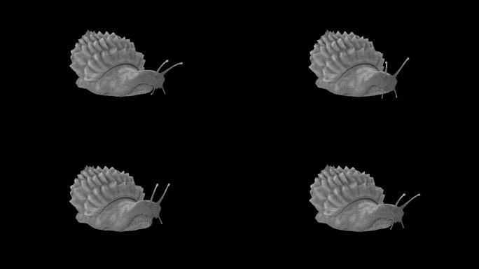 蜗牛动画(4)