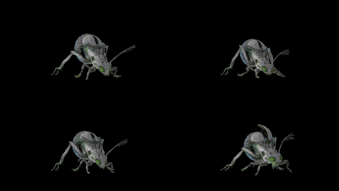 昆虫总动员 - 腾讯视频